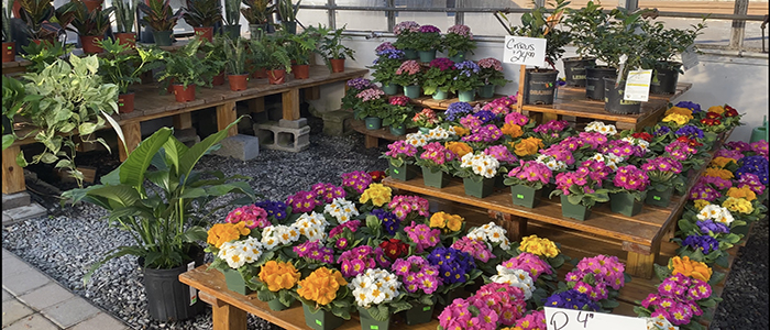 Wilson Farm Garden Shop
